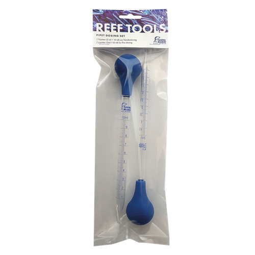 Fauna marin pipet - fauna,